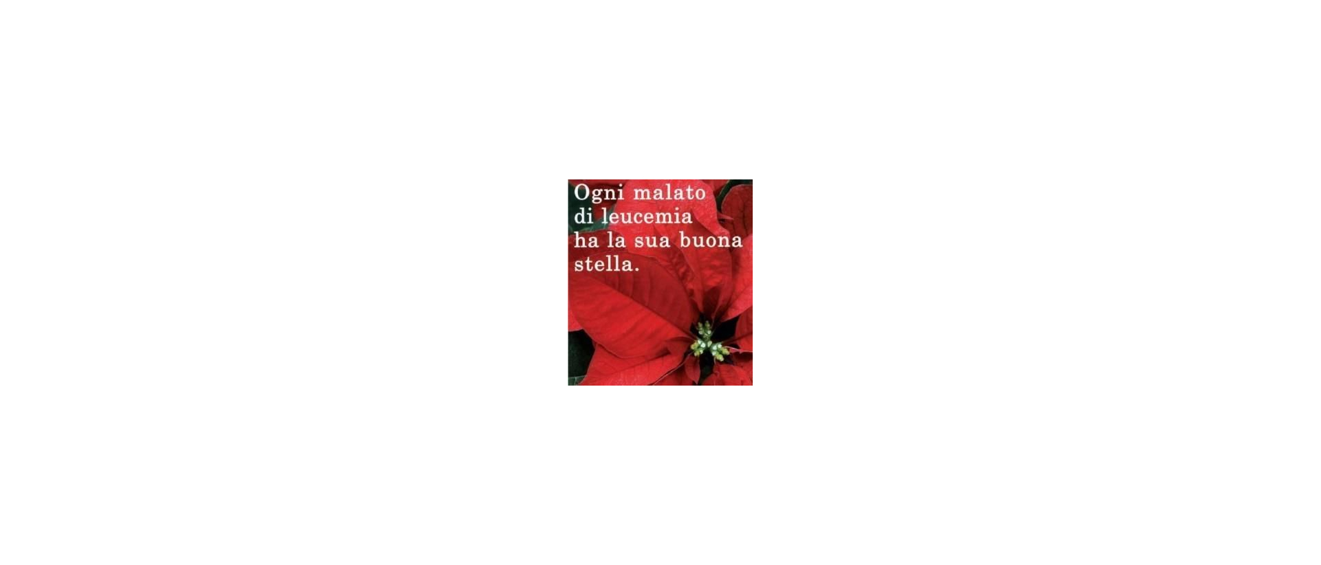 stella_ail_locandina-269x300.jpg